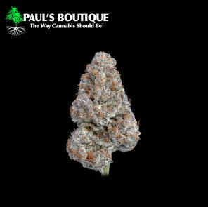 S Paul's Boutique Straw-Trop Cherry