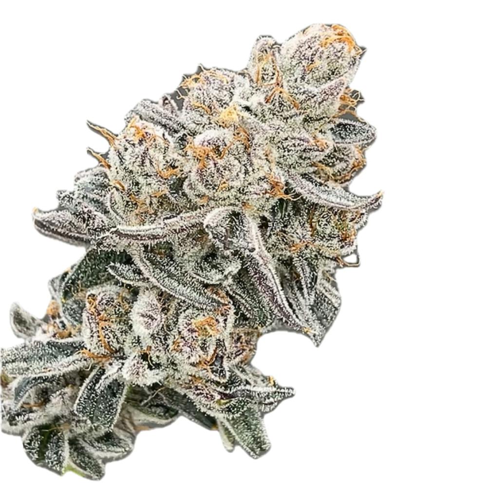 High Ambitions | Cherry Bomb | Flower | 3.5g