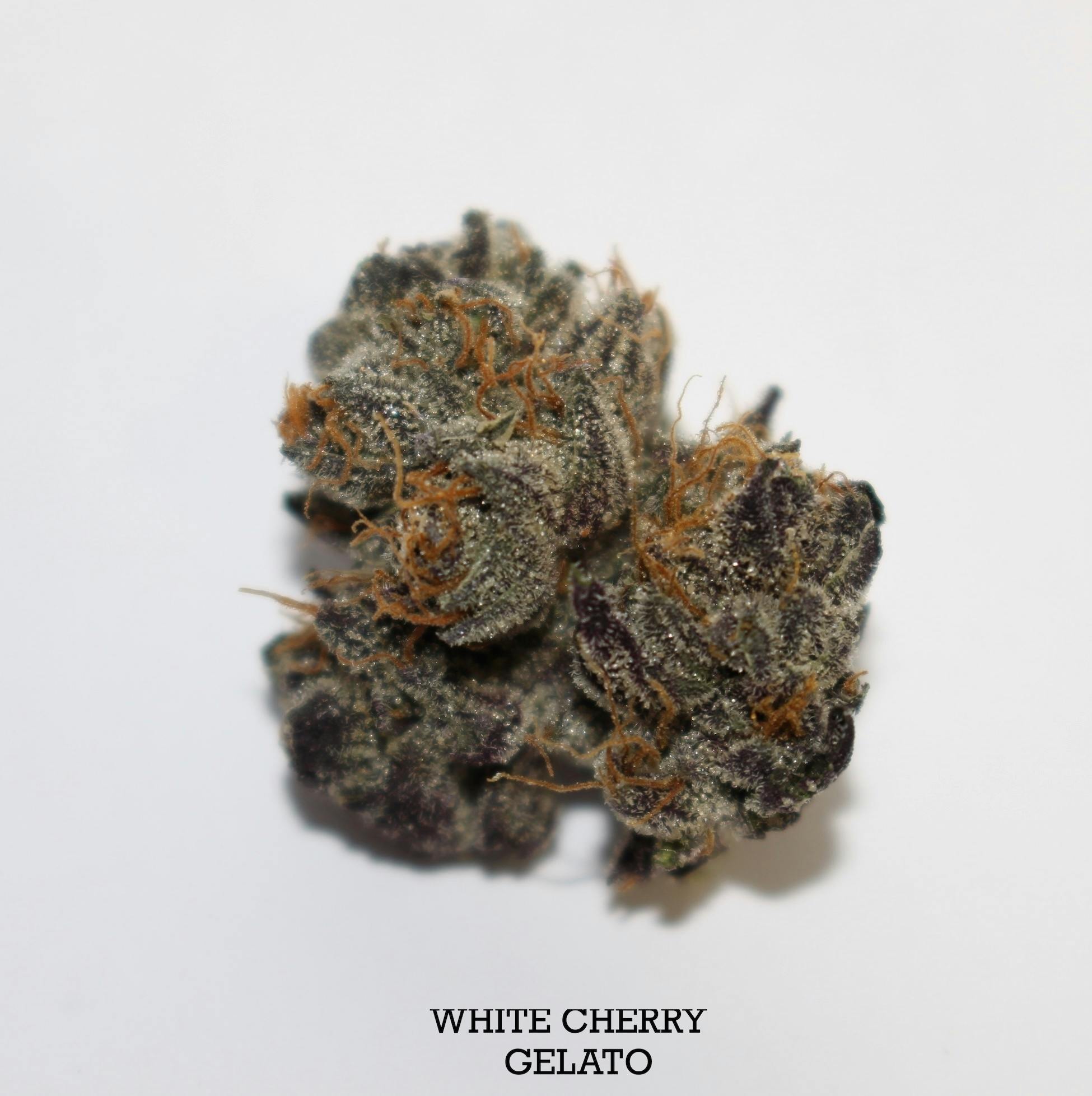 Roemer Farms | White Cherry Gelato | 3.5g