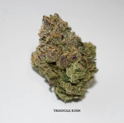 Roemer Farms | Triangle Kush | 3.5g