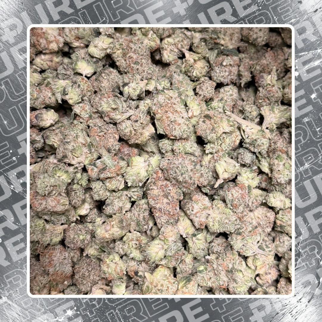 Deli - Bristol - Mule Fuel (Smalls)