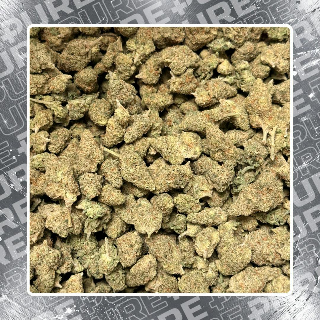 Deli - 2GROWIT - Tamarindo