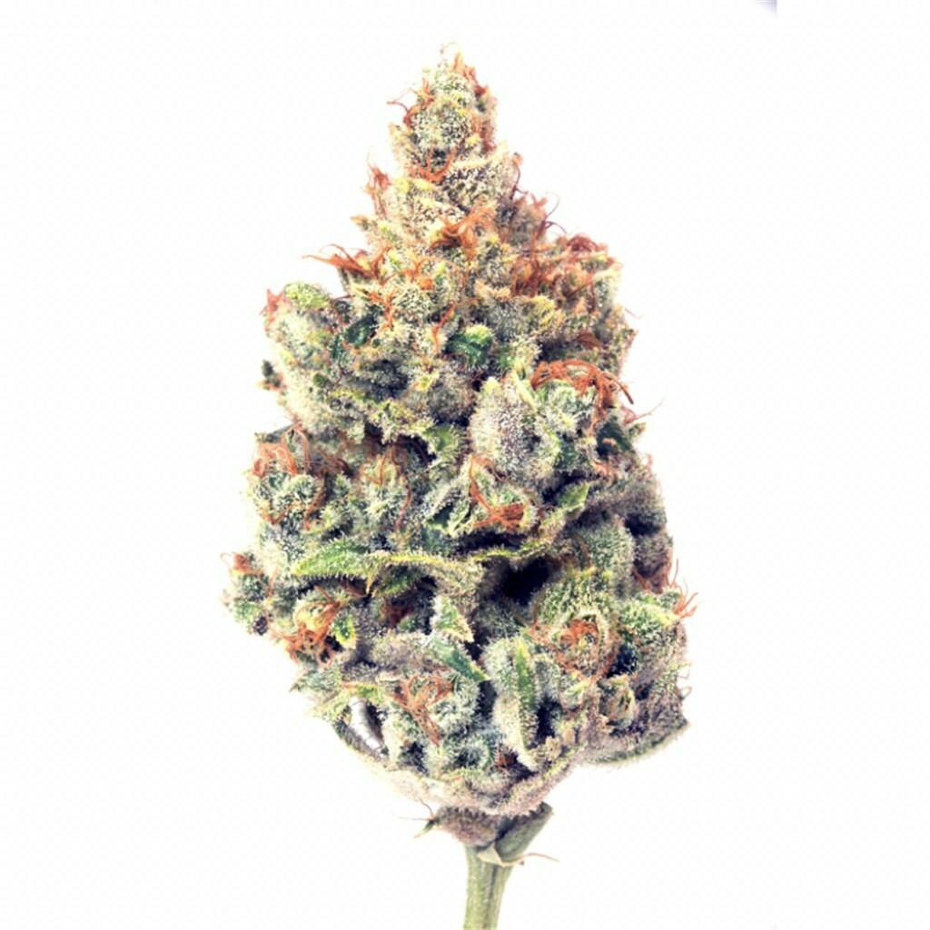Sour Garlic Cookies