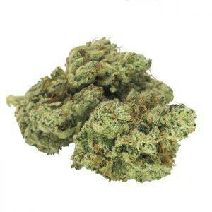 DRO - HIBACHI - 7G