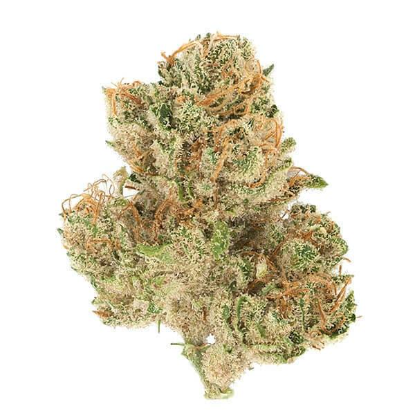 Solace Meds Golden Strawberry