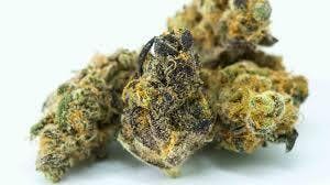Cherry Lemonatti
