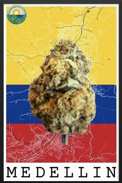 Medellin