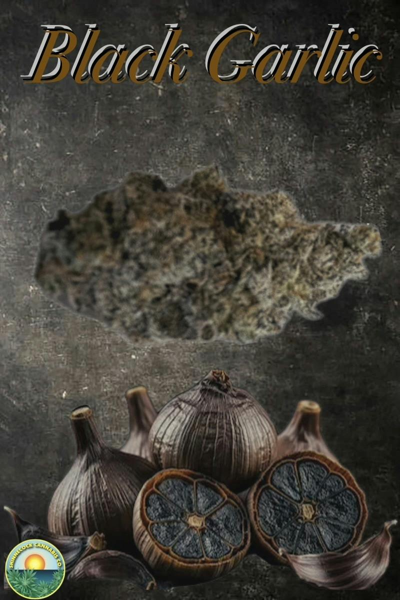 Black Garlic