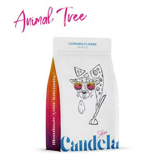 Candela Pre-Pack 3.5g - Animal Tree