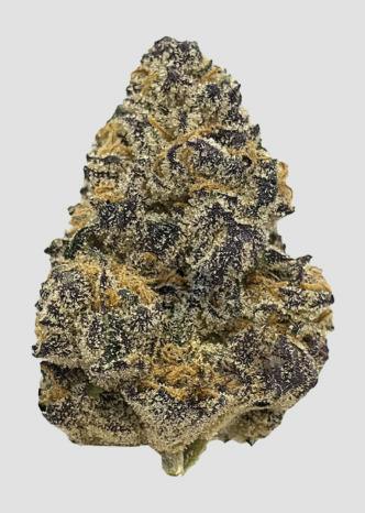 Deli Style Diamond Tier - LA Pop Rockz