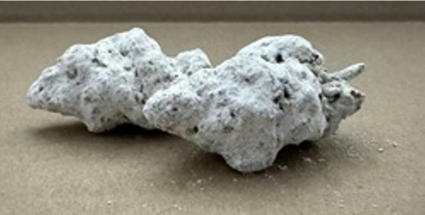Deli Style Moon Rocks - White Widow Comets