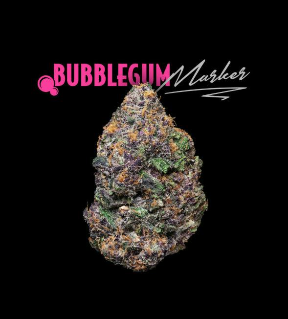 Deli Style Premium Spotlight- Bubblegum Marker