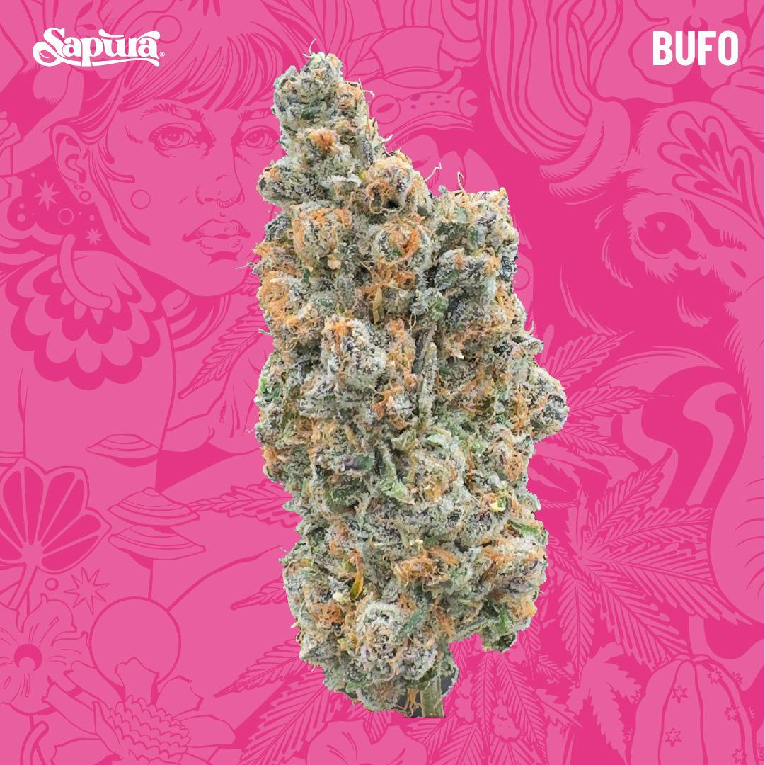 Sapura Pre-Pack 3.5g - BUFO