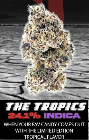 KushFace: The Tropics