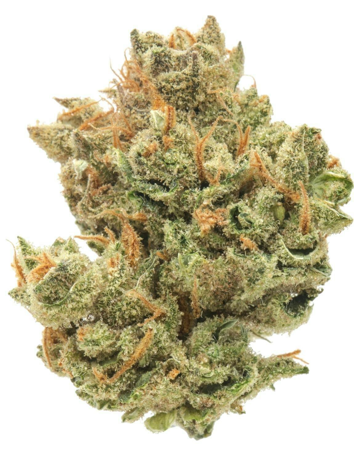 Ghost | Super Lemon Haze