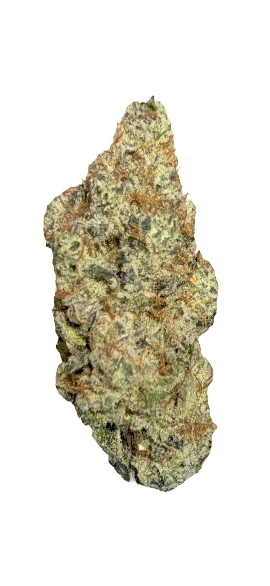 Ghost | Viva Sativa