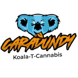 Berry Lato 1g Cartridge - Caradundy