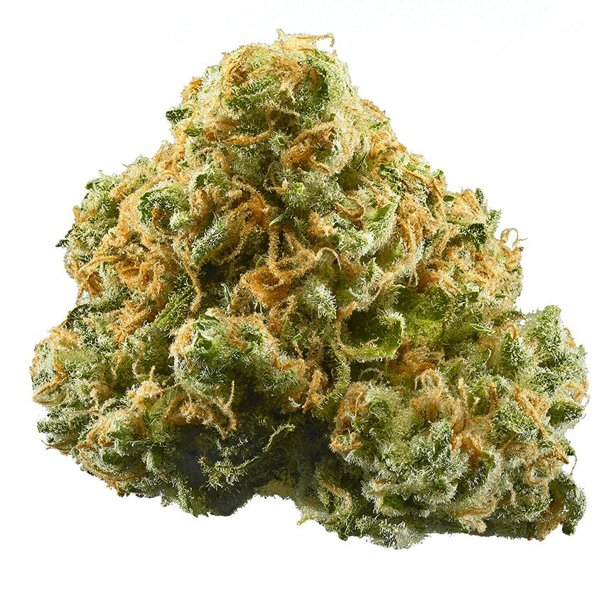Pineapple Express 14g Flower