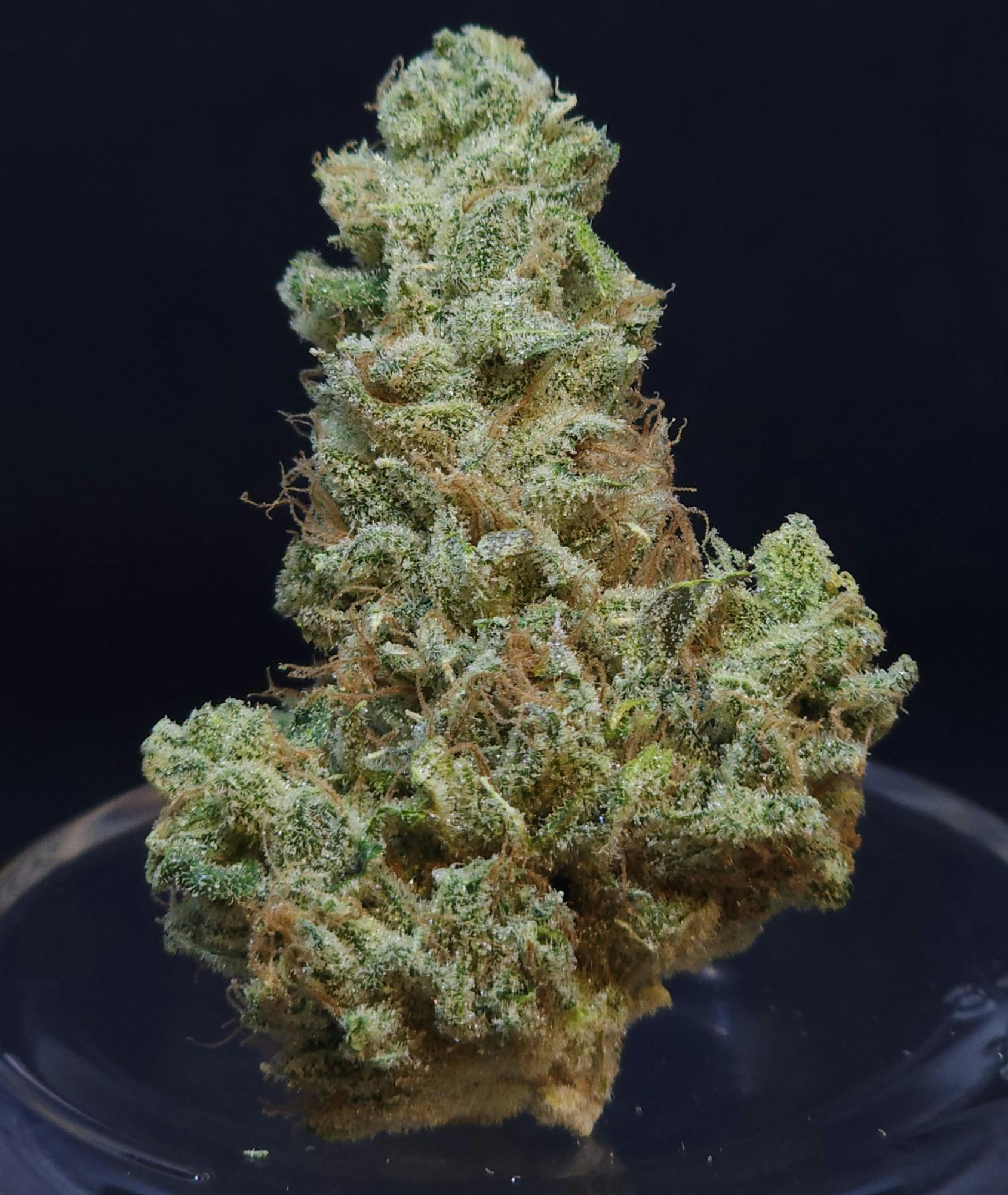 Scuba's Key Lime OG 1g Pre-Roll