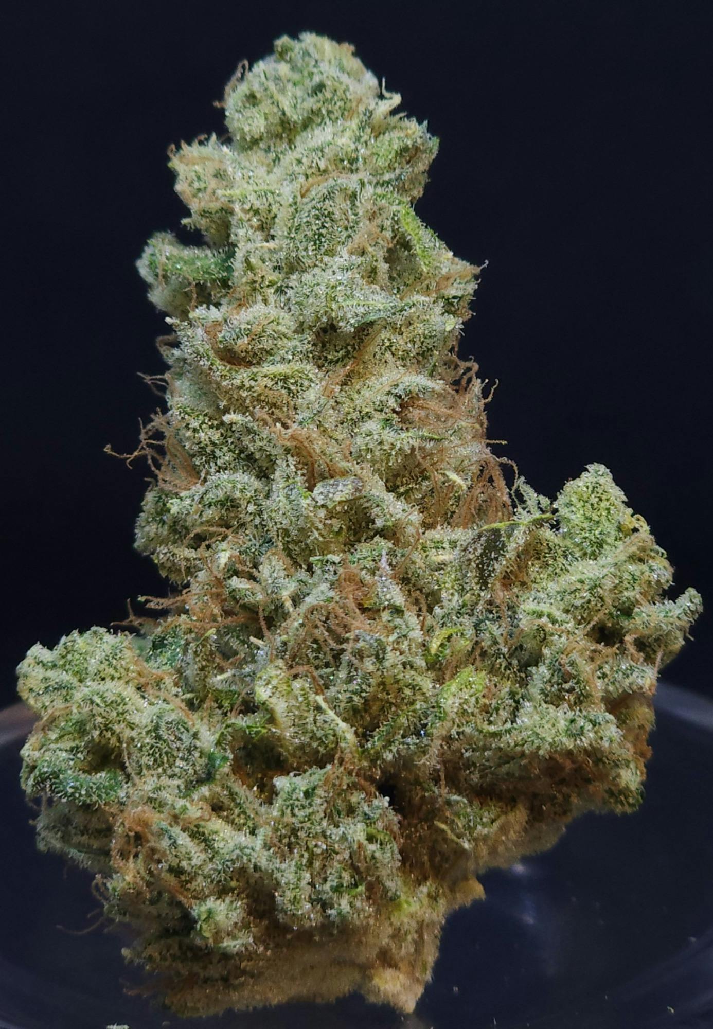 Scuba's Key Lime OG 1g Flower