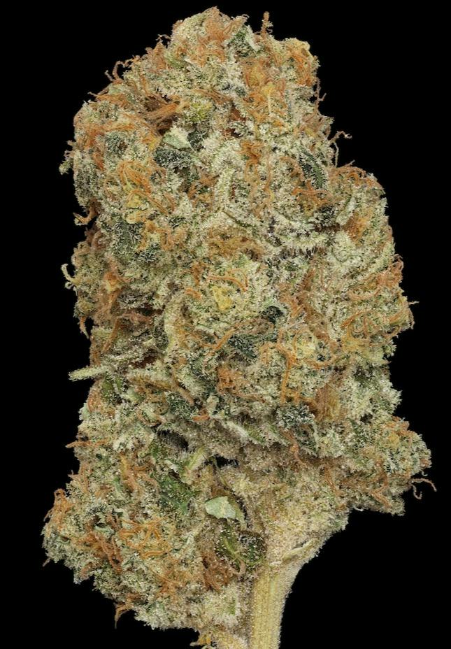 Opie Dopie 3.5g Flower