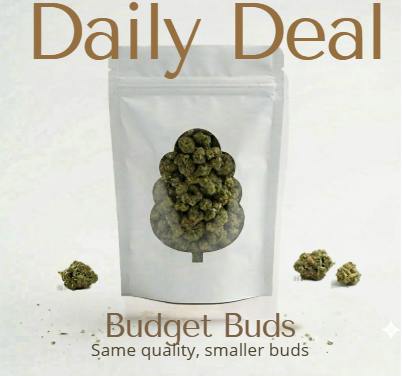 Daily Deal - Kush Mints 1g Flower