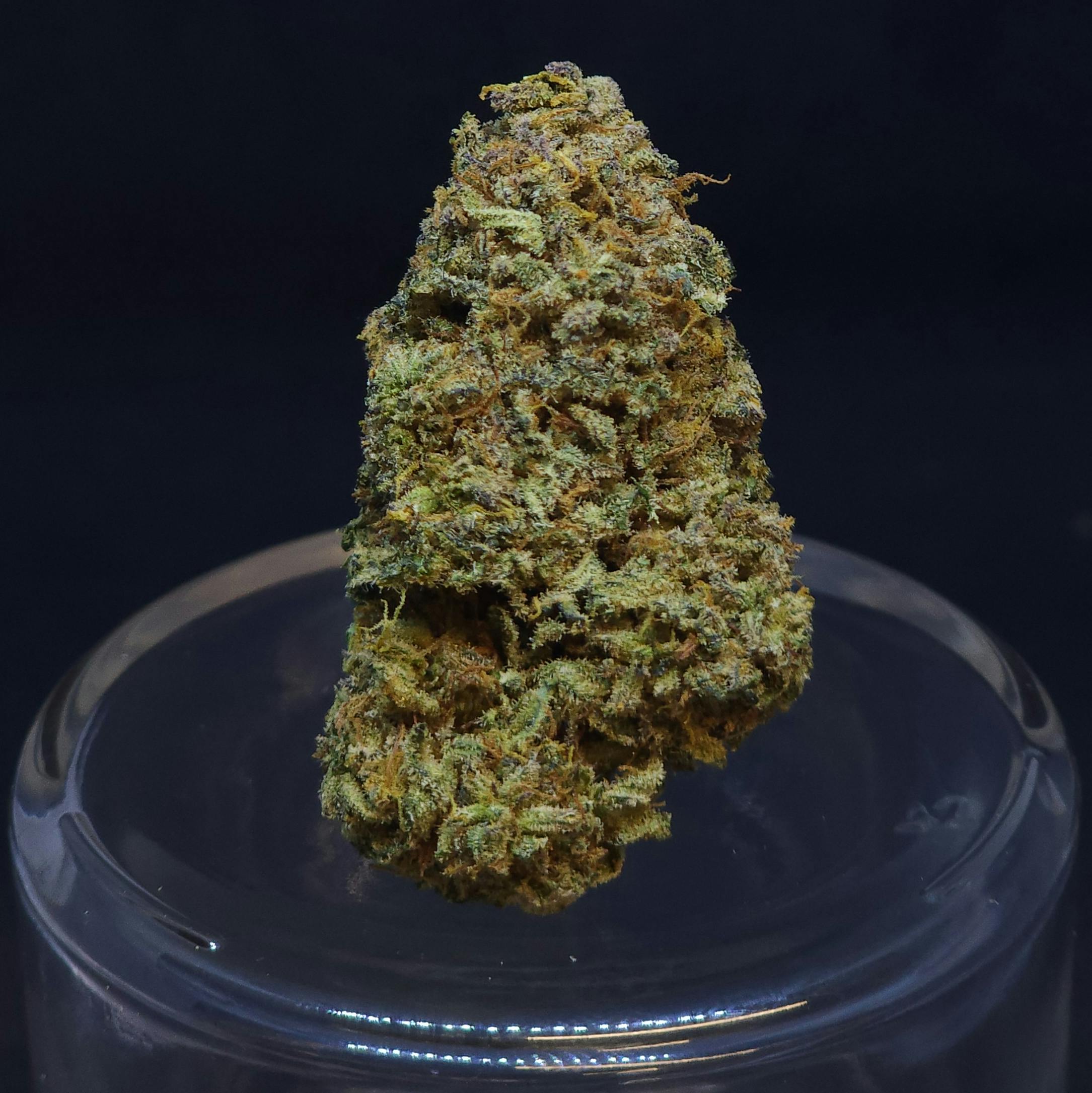 Cap's Frozen Lemons 3.5g Flower