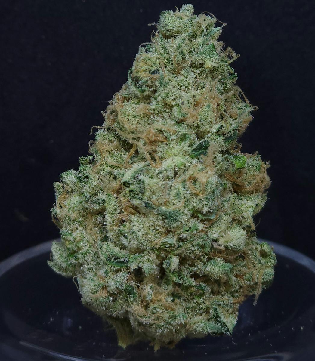 PFD #10 1g Flower