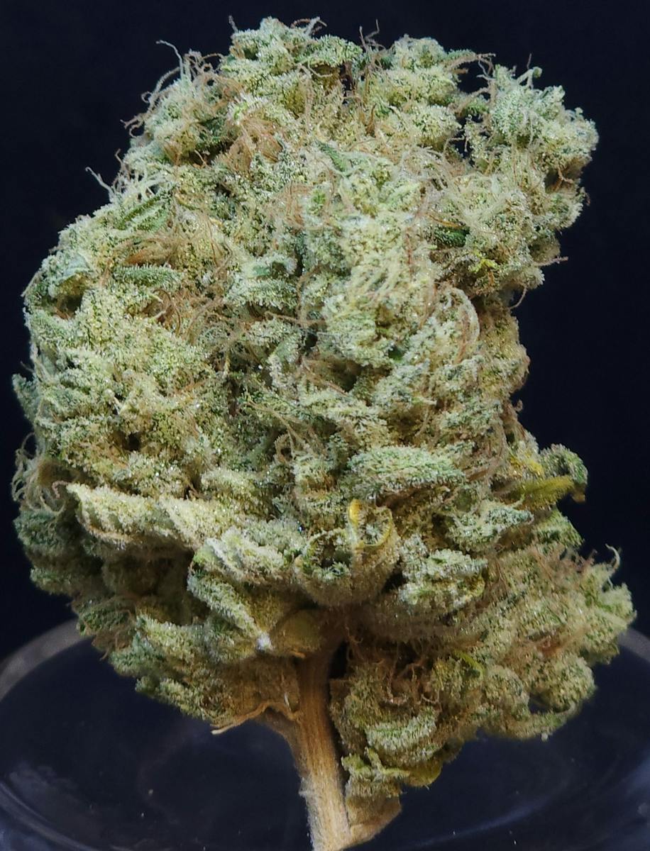 Phat N' Nasty 1g Flower