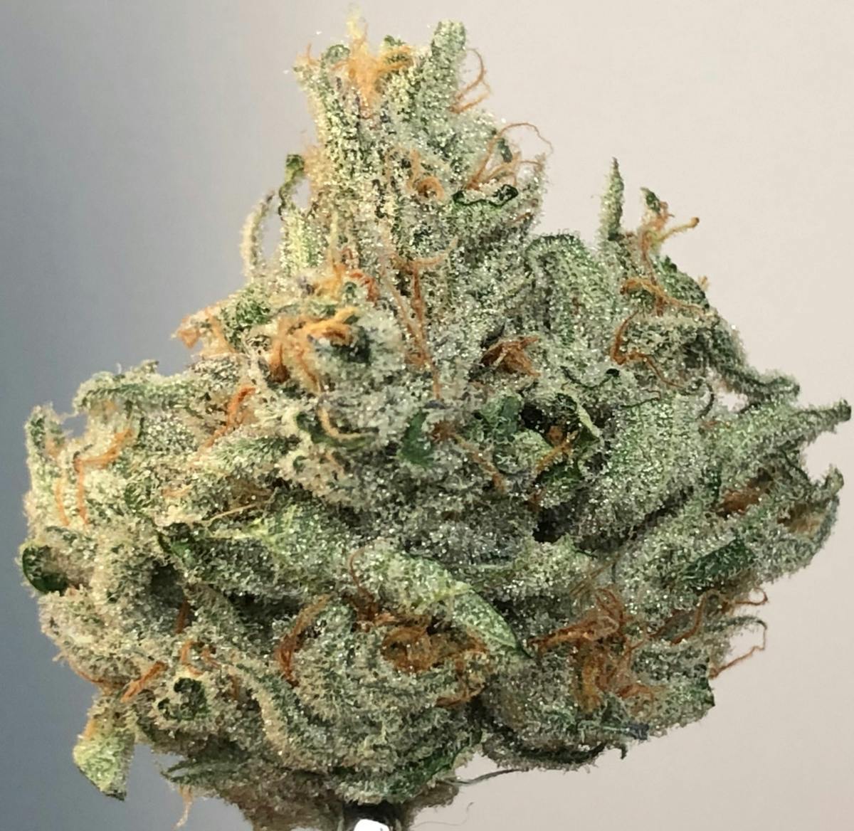 Quantum Kush 3.5g Flower