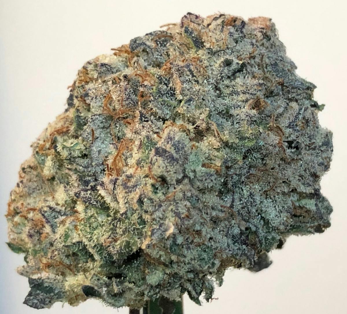 MAC #1 14g Flower