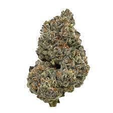 High Life | Rufios | Bulk Flower