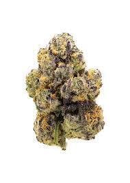 Cultiv8 | Gelly Runtz | BULK Flower