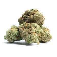 1855 Cannabis | Polynesian Thin Mints | Bulk Flower