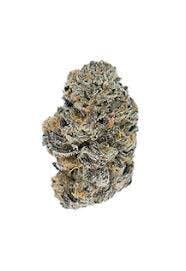 Primitiv | Blue Andez | Bulk Flower