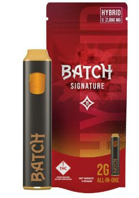 Batch | Frozen Firecracker | 2g Disposable (Flavors)