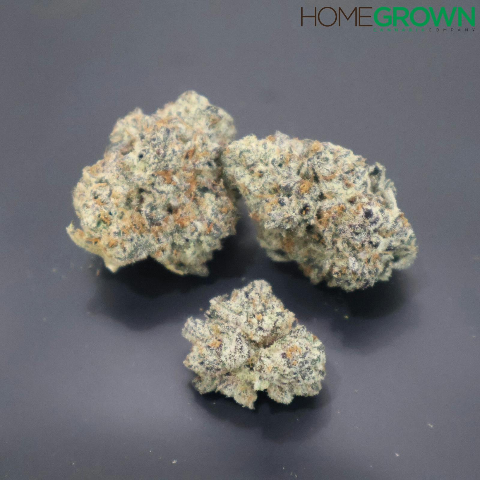 M and M | Space Panda | Bulk Flower