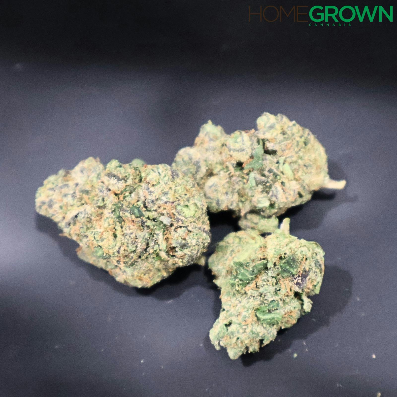 Common Citizen | Z Lato | Bulk Flower