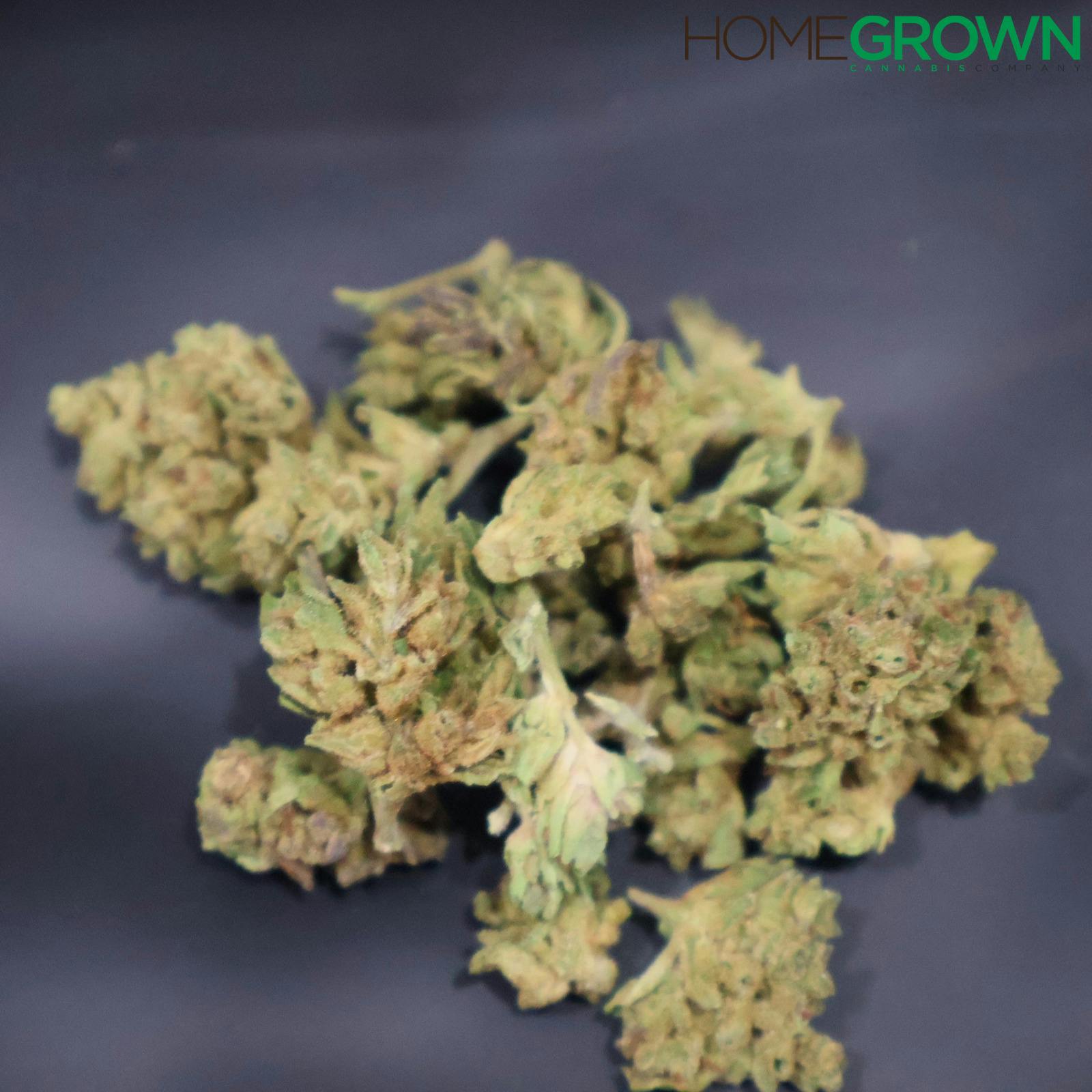 Oceana Gardens | GG #4 | Bulk Outdoor Flower