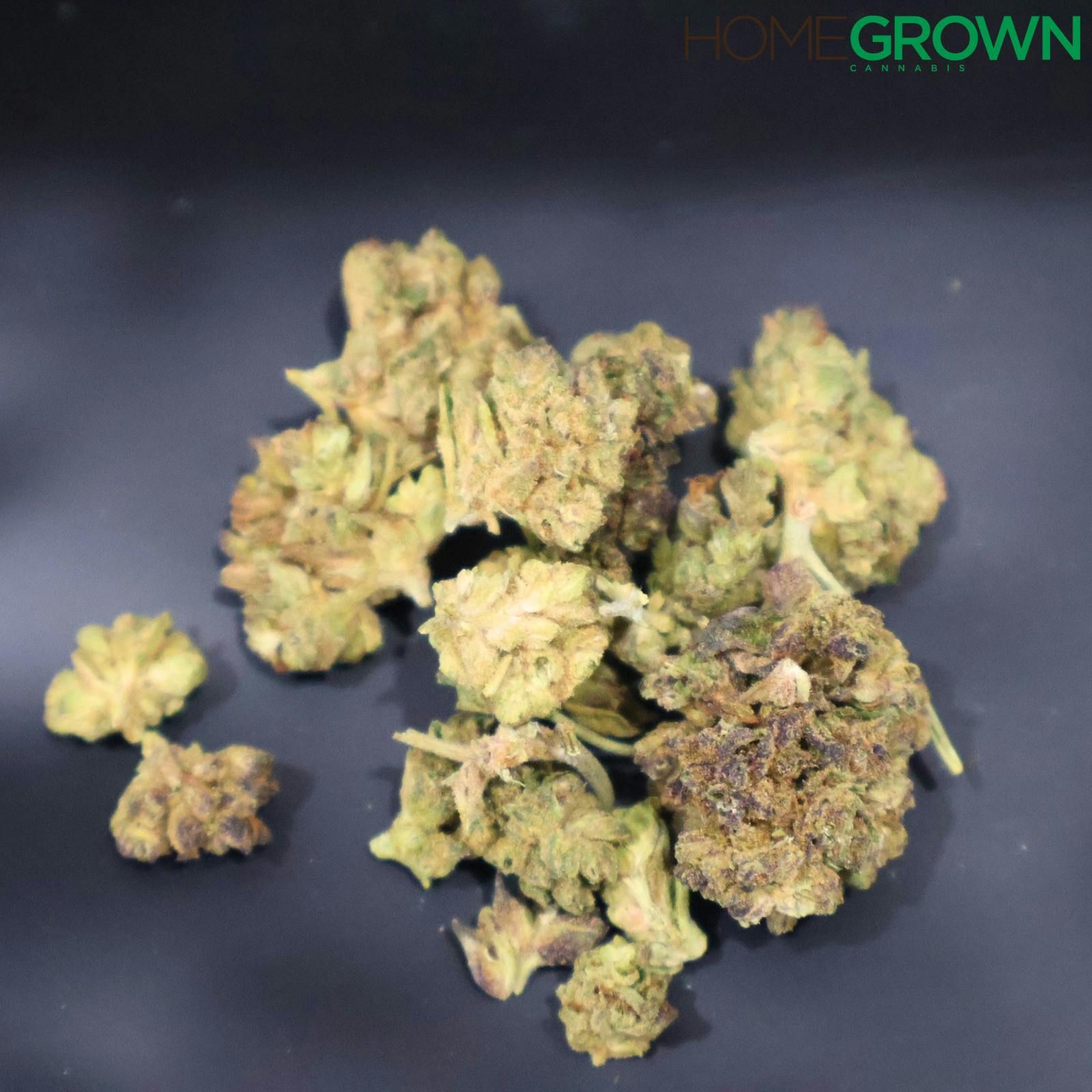 Oceana Gardens | Donutz | Bulk Outdoor Flower
