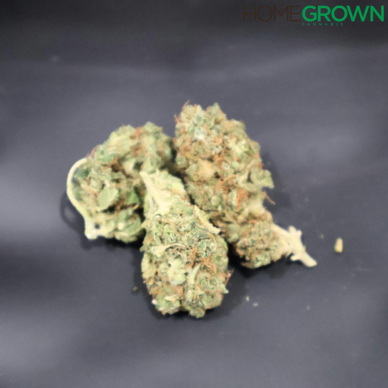 Gynoecium517 | God Bud | Bulk Flower at Homegrown Cannabis Company Owosso