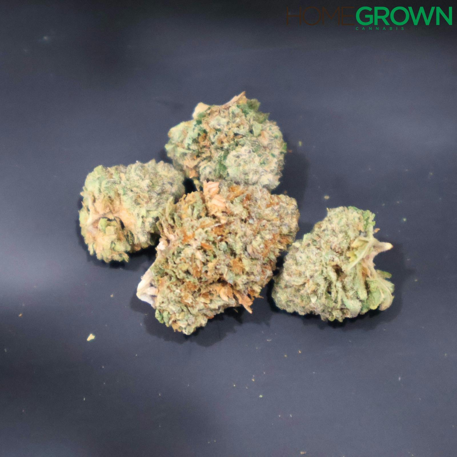 Trivium | Wyld Stallions | Bulk Flower