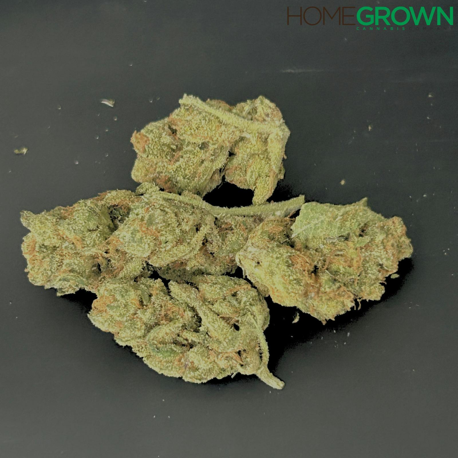 1855 Cannabis | Polynesian Thin Mints | Bulk Flower