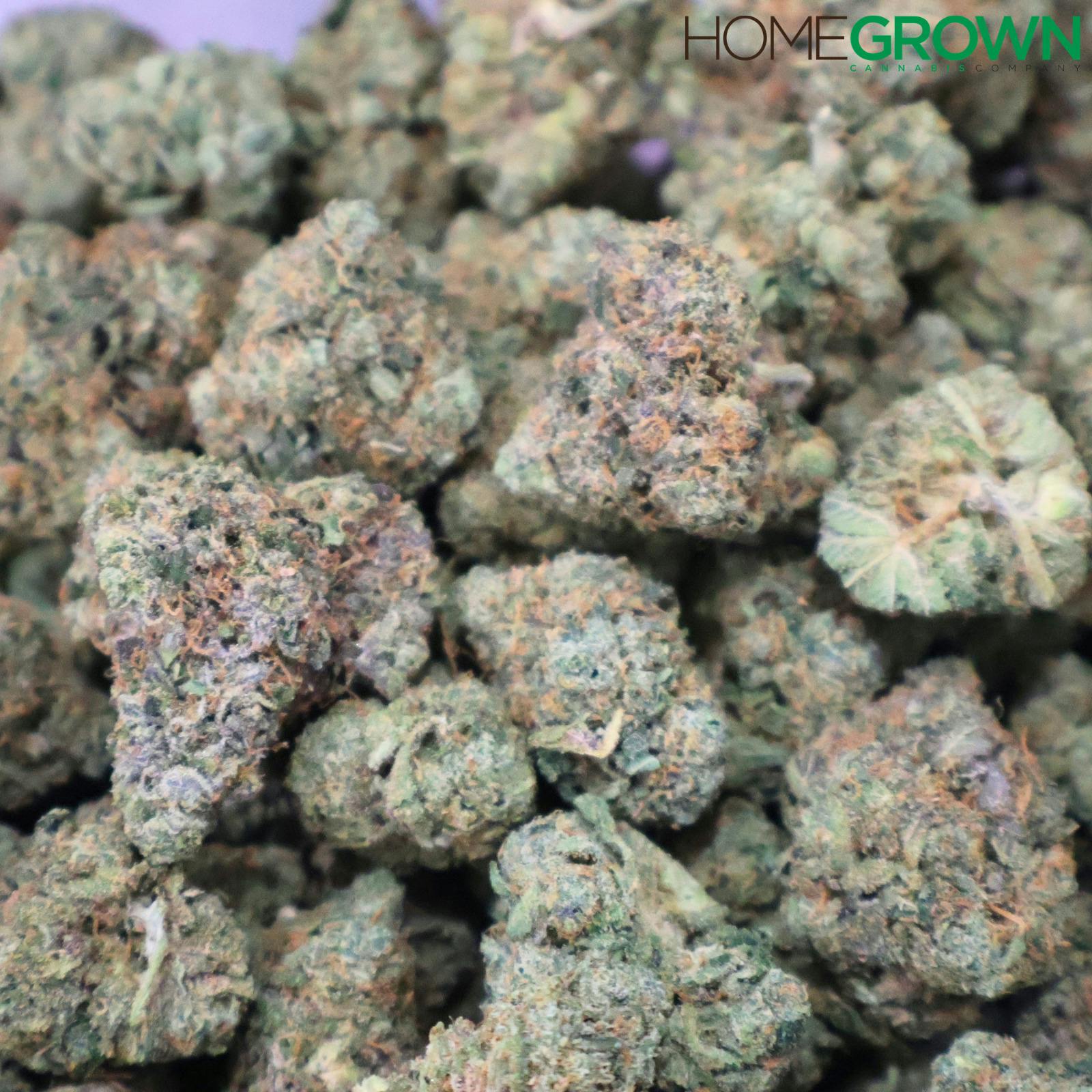 Common Citizen | Z Lato (Smalls) | Bulk Flower