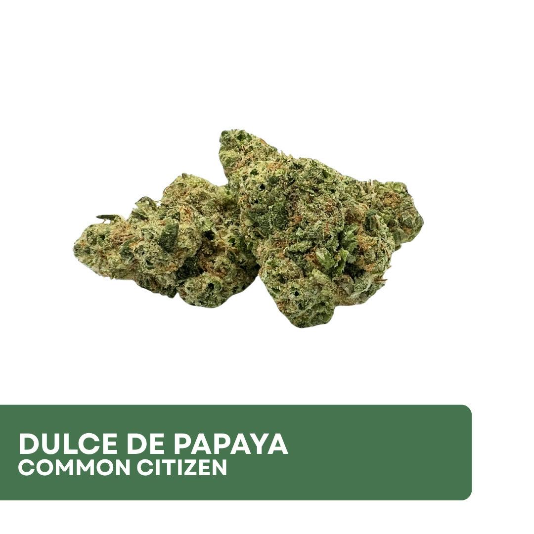 Common Citizen | Dulce De Papaya | Bulk Flower