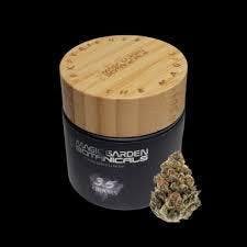 Pink Guava | Big Buds | 3.5g