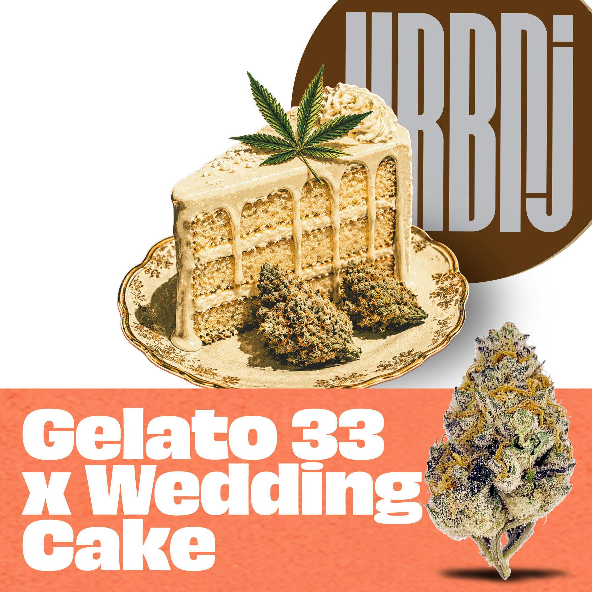 Gelato 33 X Wedding Cake 2g