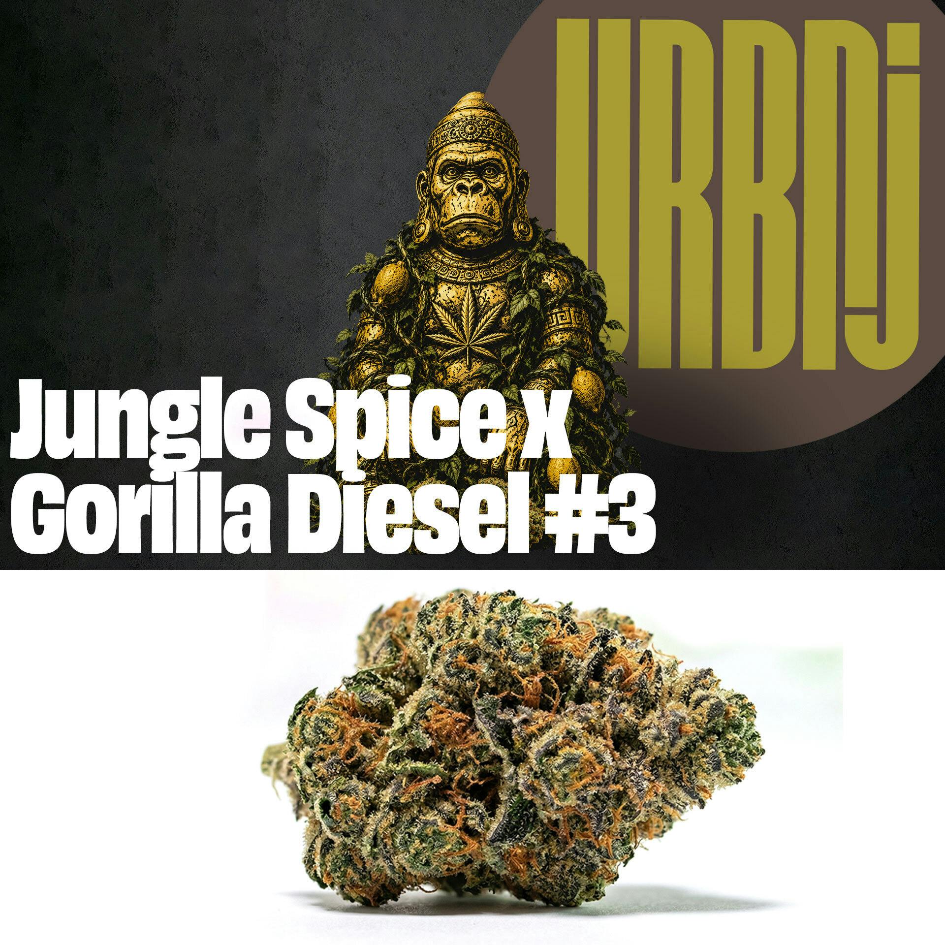 Jungle Spice X Gorilla Diesel #3 2g