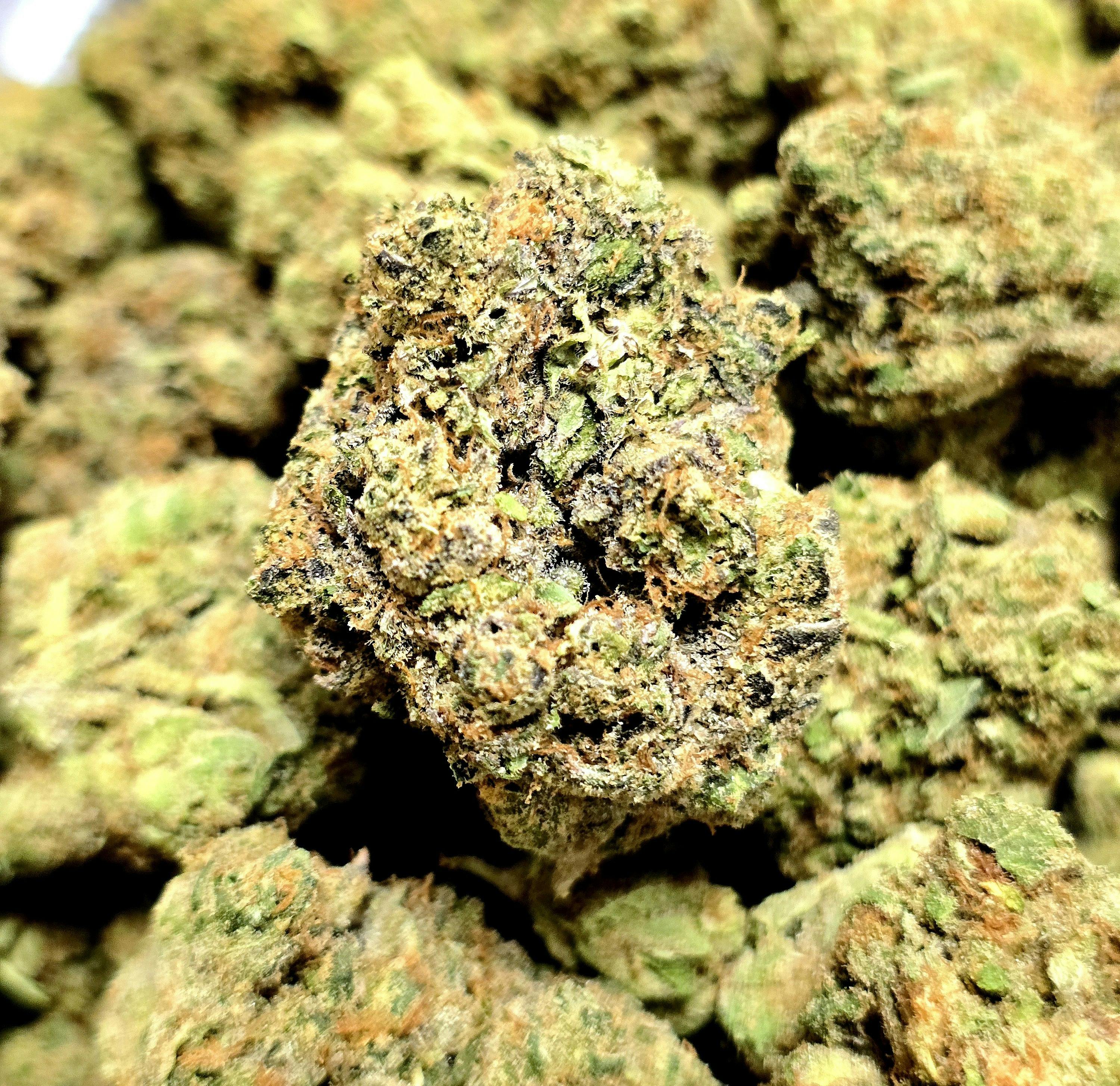 Petrol Punch- (Hydro)