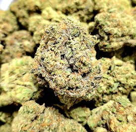 Petrol Punch- (Hydro)